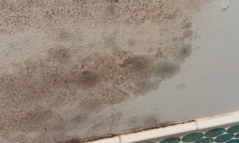 Drywall Repairs or Molded Drywall