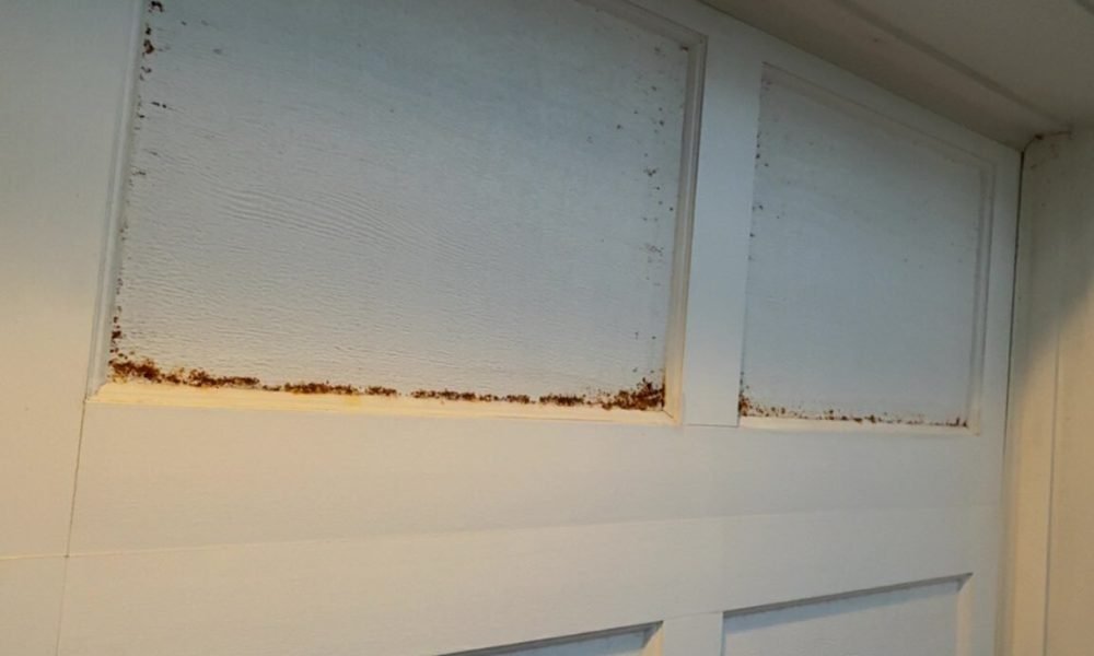 •Rusted Garage Doors (Metal)•